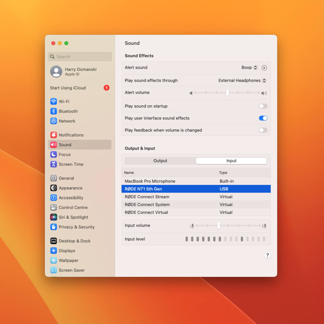 Mac Input settings